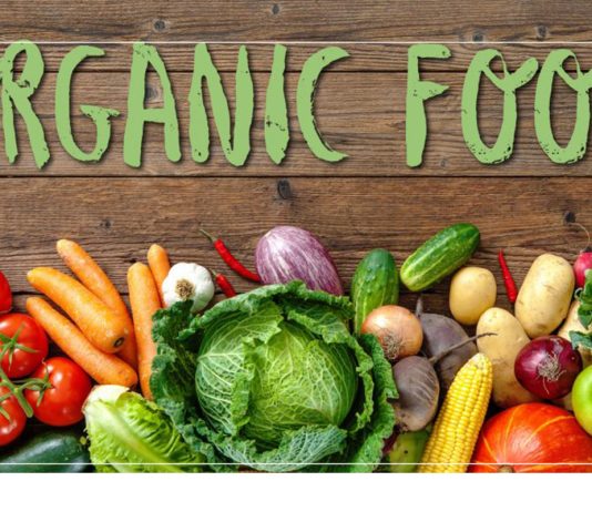 Europe Organic Food Market Size, Share, Sales Analysis, Forecast 2024-2032
